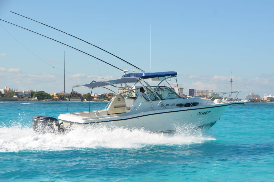 fishing cancun release discounted tours and trips